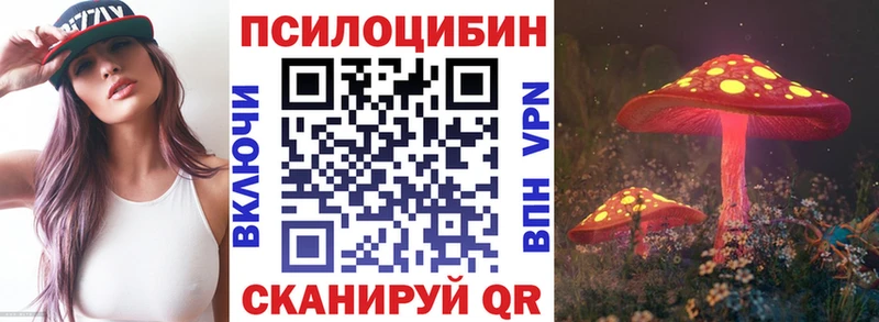 мега вход  наркота  Рыбинск  Галлюциногенные грибы Psilocybine cubensis 